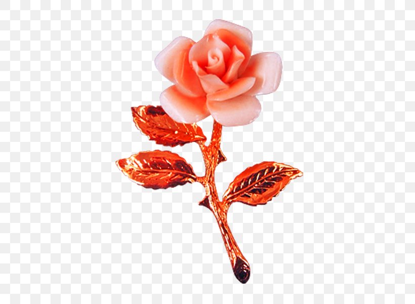 Software Rose Preview, PNG, 600x600px, Software, Artificial Flower, Color, Cut Flowers, Floral Design Download Free