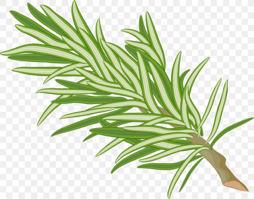 Vector Graphics Clip Art Illustration Image, PNG, 1200x939px, Drawing, Art, Fines Herbes, Flower, Flowering Plant Download Free