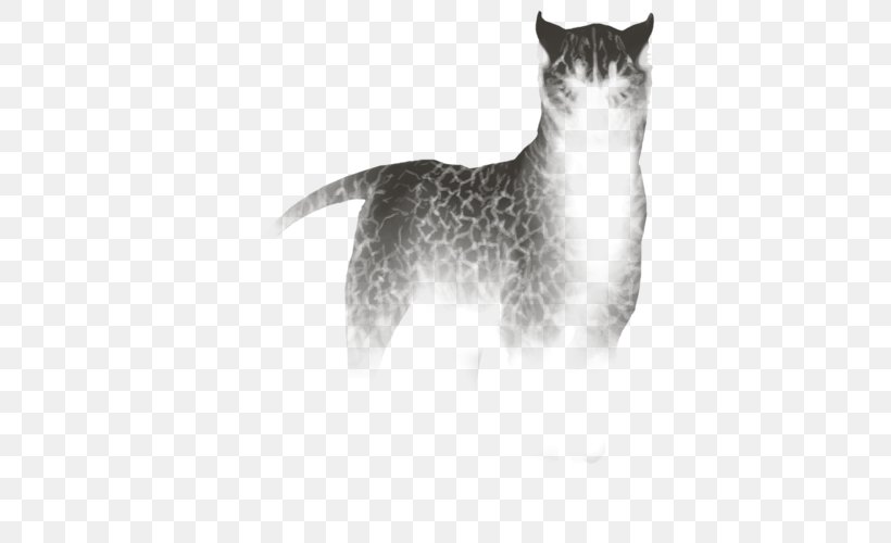 Whiskers Cat Dog Fur Fauna, PNG, 640x500px, Whiskers, Black And White, Canidae, Carnivoran, Cat Download Free