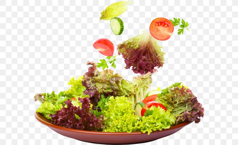 Caesar Salad Fruit Salad Greek Salad Vinaigrette, PNG, 589x500px, Salad, Caesar Salad, Cuisine, Diet Food, Dish Download Free