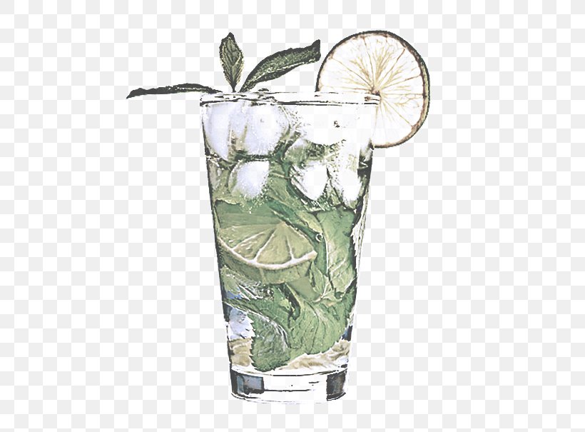 Highball Glass Cocktail Garnish Drink Plant Non-alcoholic Beverage, PNG, 561x605px, Highball Glass, Anthurium, Cocktail Garnish, Distilled Beverage, Drink Download Free