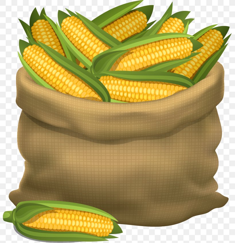Maize Cornhole Gunny Sack Illustration, PNG, 799x848px, Maize, Bag, Cartoon, Commodity, Corn Kernel Download Free