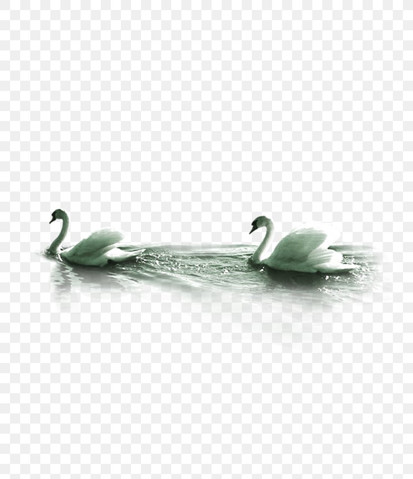 Mute Swan Computer File, PNG, 800x950px, Mute Swan, Body Jewelry, Computer Program, Cygnini, Jewellery Download Free