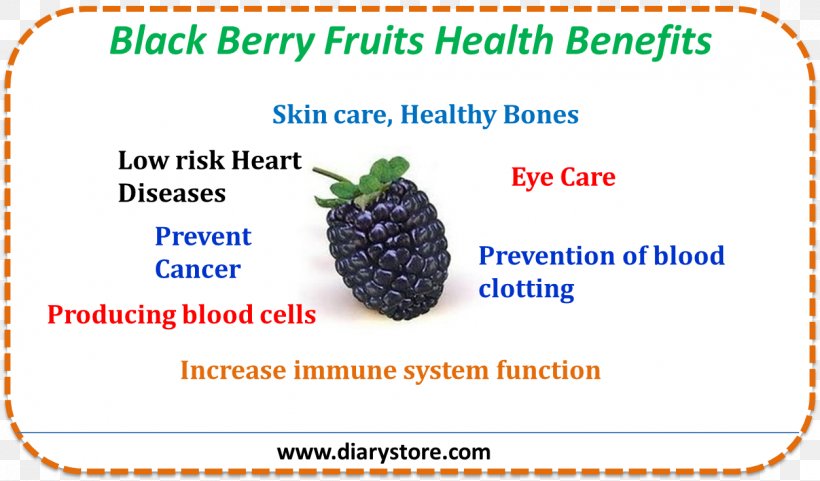 Product Fruit Blackberry Line Font, PNG, 1253x735px, Fruit, Area, Blackberry, Food, Organism Download Free