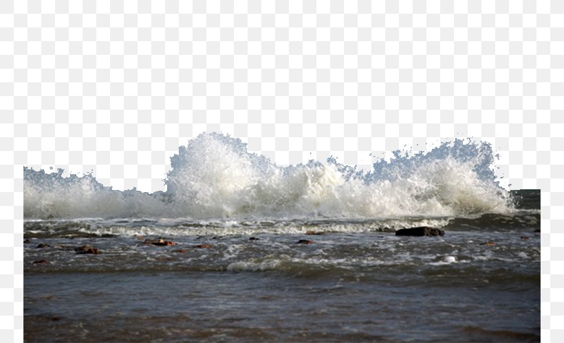 Shore Sea Wind Wave, PNG, 752x500px, Shore, Coast, Coastal And Oceanic Landforms, Inlet, Ocean Download Free