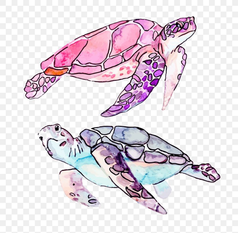 Turtle Clip Art Vector Graphics Royalty-free Illustration, PNG, 804x804px, Turtle, Fotosearch, Green Sea Turtle, Hawksbill Sea Turtle, Kemps Ridley Sea Turtle Download Free