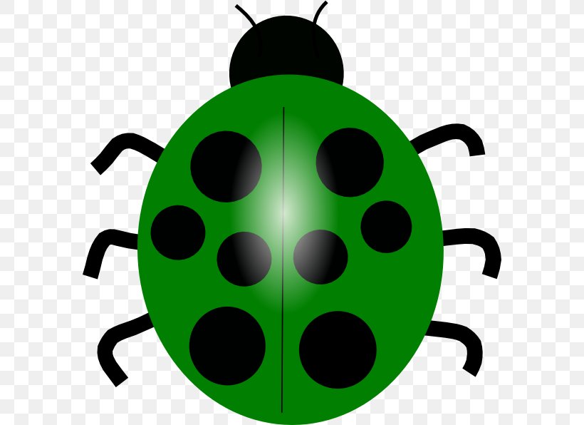 Beetle Ladybird Drawing Clip Art, PNG, 588x596px, Beetle, Artwork, Cartoon, Drawing, Green Download Free