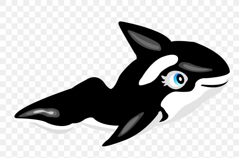 Dolphin Marine Mammal, PNG, 1646x1093px, Dolphin, Animal, Beak, Black And White, Cartoon Download Free