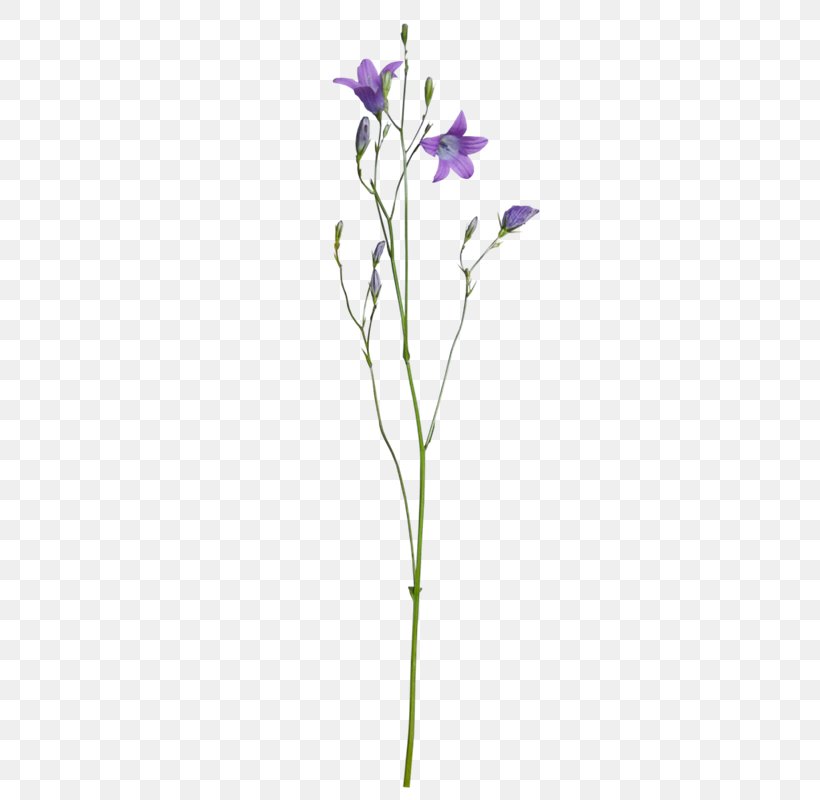 Floral Design Purple Flower, PNG, 332x800px, Floral Design, Branch, Cut Flowers, Flora, Floristry Download Free