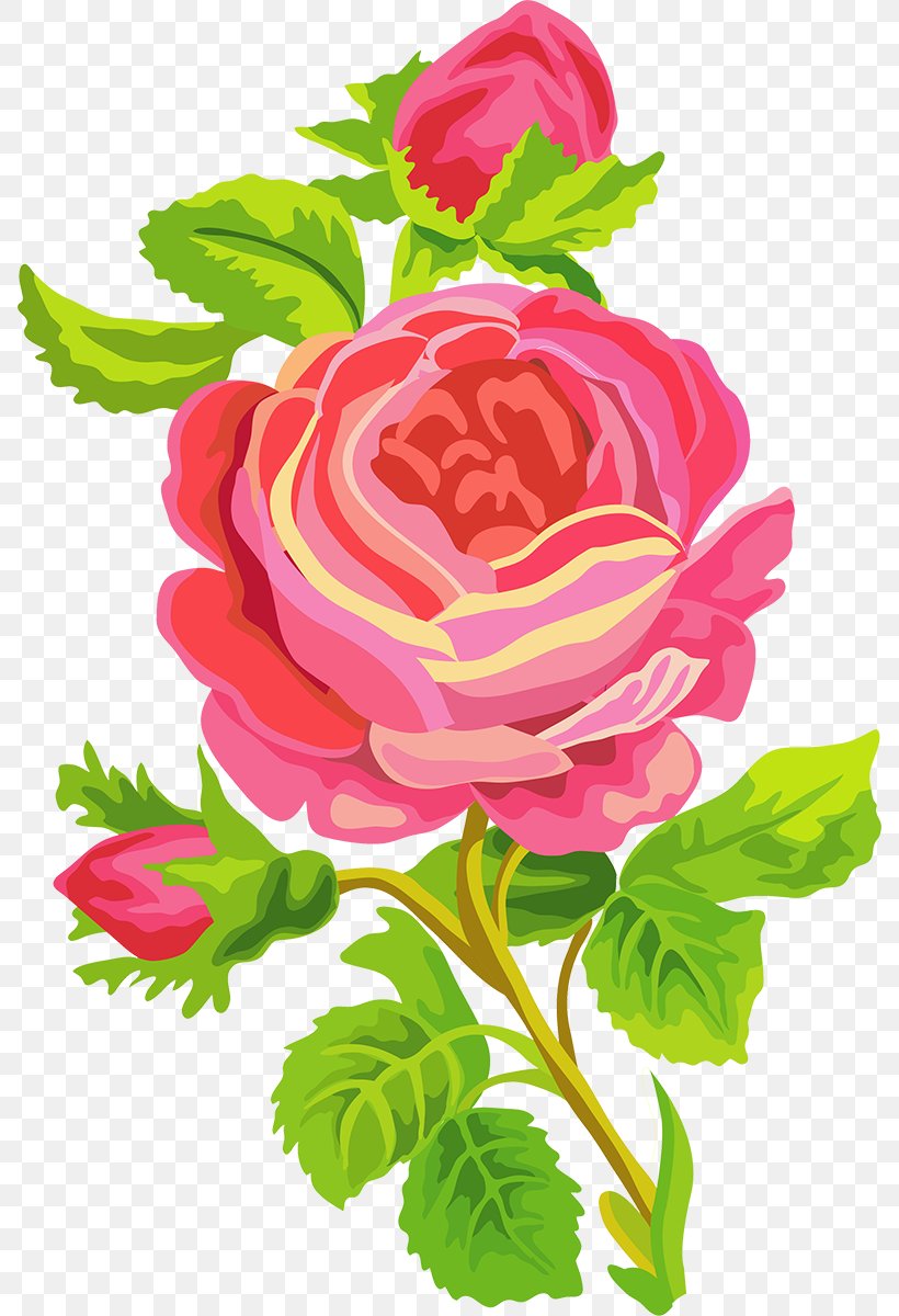 Garden Roses Cartoon Clip Art, PNG, 788x1200px, Garden Roses, Annual Plant,  Cartoon, Centifolia Roses, Cut Flowers