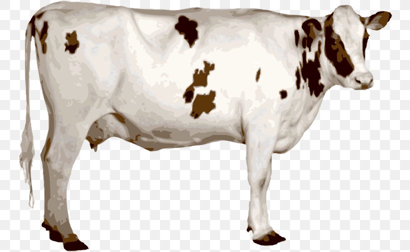 Holstein Friesian Cattle Ongole Cattle Texas Longhorn Jersey Cattle Dairy Cattle, PNG, 750x504px, Holstein Friesian Cattle, Animal Figure, Bull, Calf, Cattle Download Free