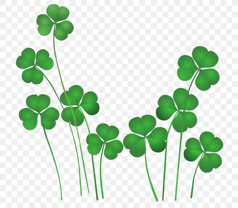 Saint Patrick's Day St. Patrick's Day Shamrocks Ireland Clip Art, PNG, 768x718px, 17 March, Ireland, Flowering Plant, Grass, Green Download Free