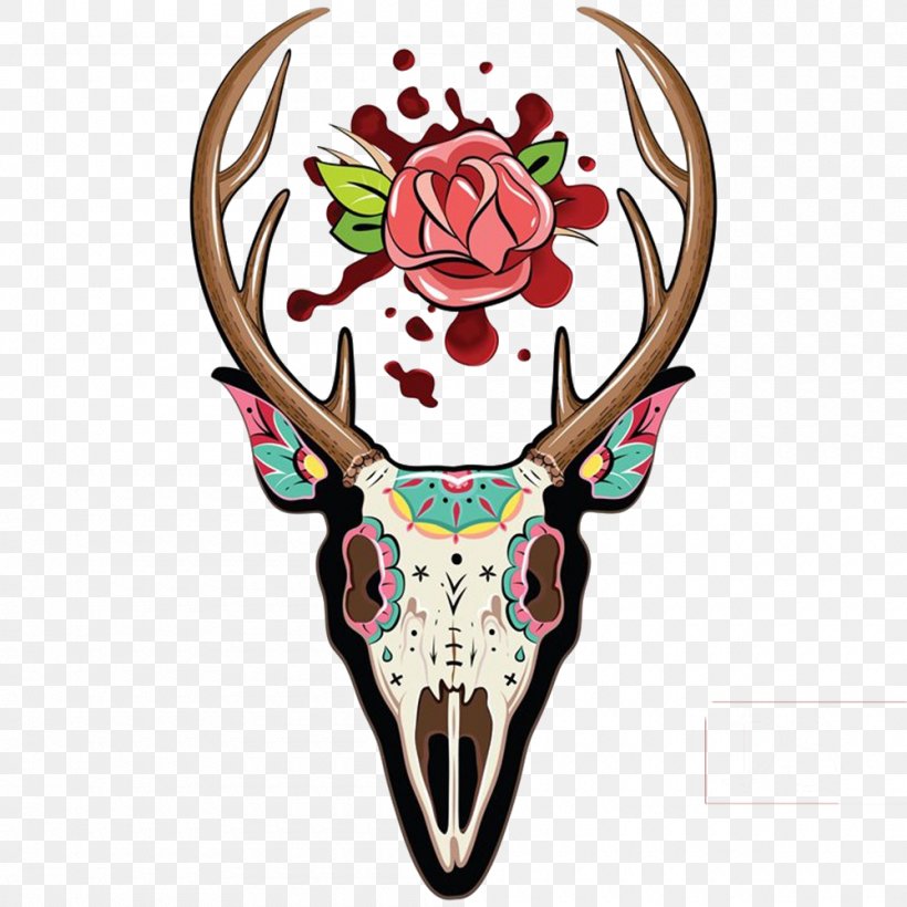 White-tailed Deer Skull Illustration, PNG, 1000x1000px, Deer, Antler, Bone, Horn, Mammal Download Free