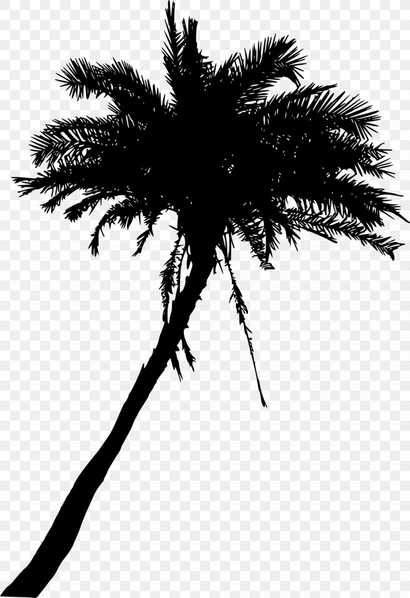 Arecaceae Tree Date Palm Woody Plant Asian Palmyra Palm, PNG, 1030x1500px, Arecaceae, Arecales, Asian Palmyra Palm, Black And White, Borassus Download Free