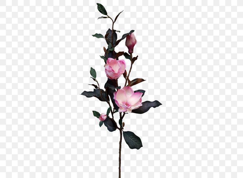 Cut Flowers Plant Stem Artificial Flower, PNG, 800x600px, Flower, Artificial Flower, Blossom, Branch, Cut Flowers Download Free