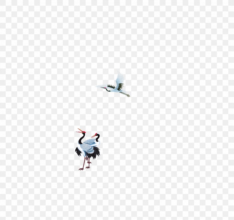Goose Duck Cygnini Wing Bird, PNG, 2464x2319px, Goose, Anatidae, Bird, Computer, Cygnini Download Free
