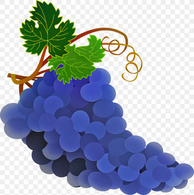 Grape Seedless Fruit Grape Leaves Grapevine Family Fruit, PNG, 1272x1280px, Grape, Berry, Fruit, Grape Leaves, Grapevine Family Download Free