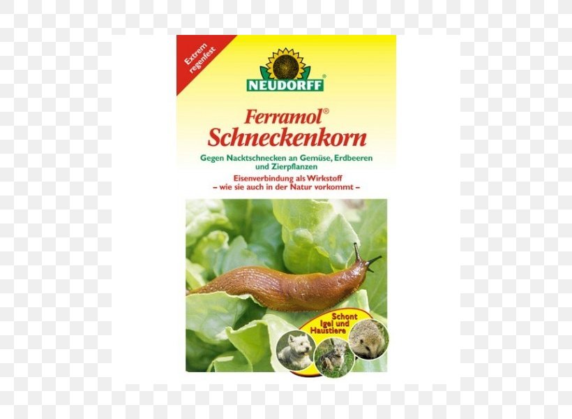 Schneckenkorn .kg Slug Gastropods .im, PNG, 800x600px, Slug, Artikel, Brand, Comparison Shopping Website, Flavor Download Free