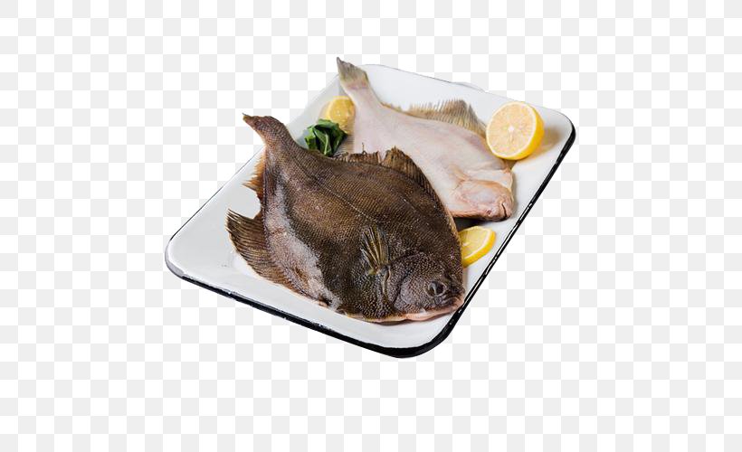 Seafood European Plaice Pleuronectidae Flatfish, PNG, 500x500px, Seafood, Cod, Dish, European Plaice, Fish Download Free