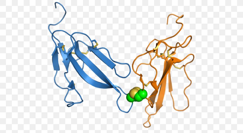 Three-finger Toxin Bungarotoxin Snake Venom Neurotoxin, PNG, 600x450px, Threefinger Toxin, Area, Art, Body Jewelry, Bungarotoxin Download Free