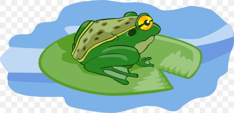 True Frog Clip Art Illustration Image, PNG, 1437x700px, True Frog, Amphibian, Fauna, Frog, Green Download Free