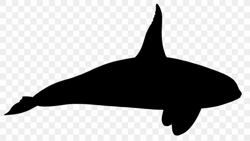 Tucuxi Killer Whale Dolphin Clip Art Fauna, PNG, 1600x900px, Tucuxi, Beak, Bottlenose Dolphin, Cetacea, Common Bottlenose Dolphin Download Free