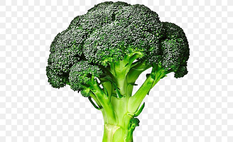 Broccoli Slaw Broccolini Cabbage Brussels Sprout, PNG, 540x500px, Broccoli, Brassica Oleracea, Broccoli Slaw, Broccoli Sprouts, Broccolini Download Free