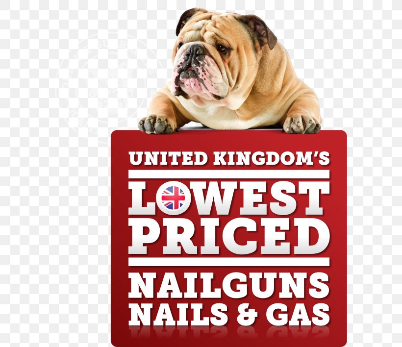 Bulldog Puppy Dog Breed Non-sporting Group Product, PNG, 597x708px, Bulldog, Breed, British Bulldogs, Carnivoran, Cup Download Free