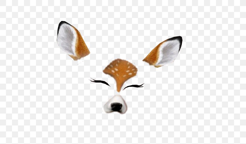 Cat Snapchat Sticker Deer Felidae, PNG, 474x482px, Cat, Animal, Carnivoran, Deer, Dog Like Mammal Download Free