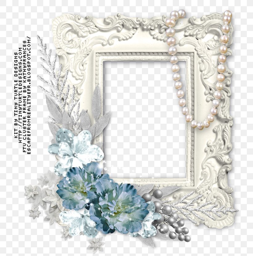 Picture Frames Winter Film Frame Photography, PNG, 750x828px, Picture Frames, Animation, Film Frame, Flower, Mirror Download Free