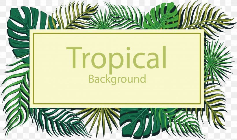 Tropics Euclidean Vector Leaf, PNG, 4027x2386px, Leaf, Conifer, Green, Organism, Pattern Download Free