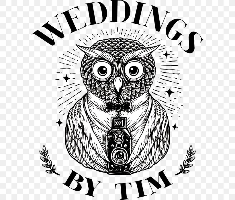 Wedding Photography Photographer Couple, PNG, 600x700px, Wedding, Art, Beak, Bird, Bird Of Prey Download Free