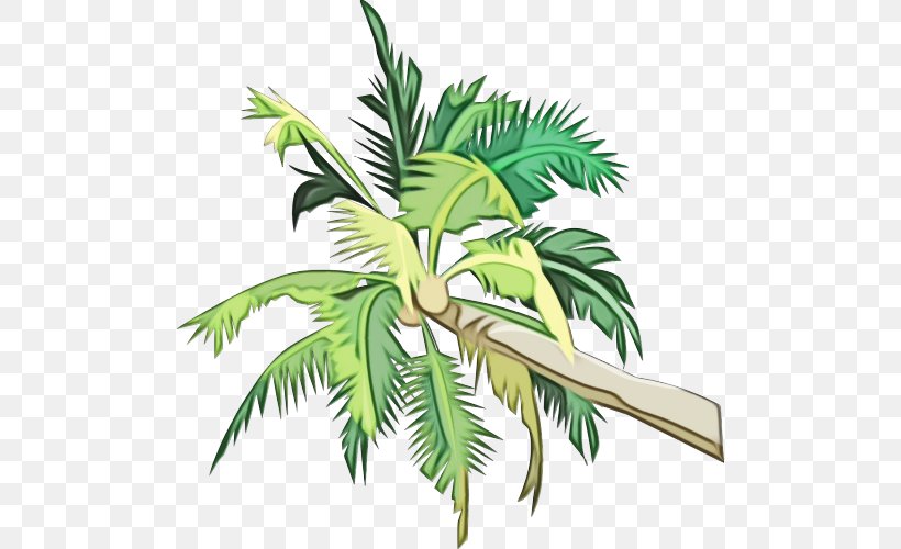 Coconut Tree Cartoon, PNG, 500x500px, Watercolor, Areca Palm, Arecales, Asian Palmyra Palm, Borassus Download Free