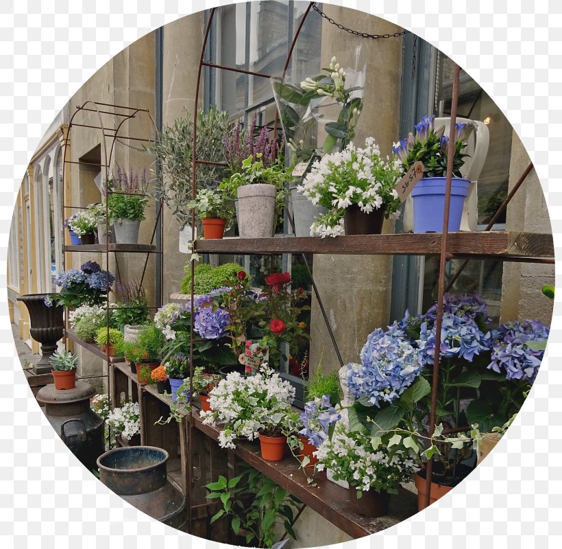 Floral Design Window Flowerpot Flowering Plant Houseplant, PNG, 800x800px, Floral Design, Flora, Floristry, Flower, Flower Arranging Download Free