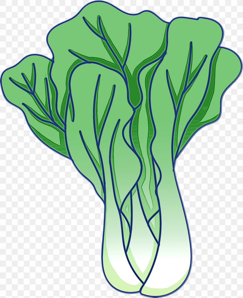 Green Vegetable Leaf Plant Leaf Vegetable, PNG, 1377x1690px, Watercolor, Cabbage, Green, Leaf, Leaf Vegetable Download Free