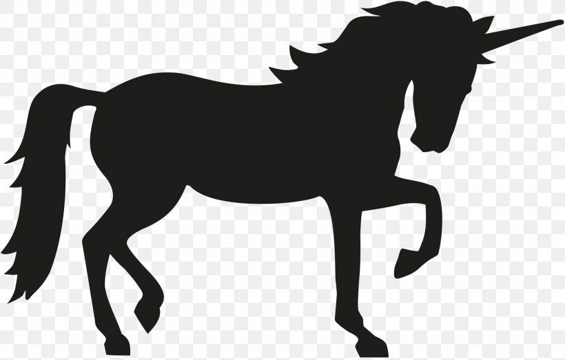 Horse Royalty-free Equestrian Clip Art, PNG, 1605x1024px, Horse, Black And White, Bridle, Collection, Colt Download Free
