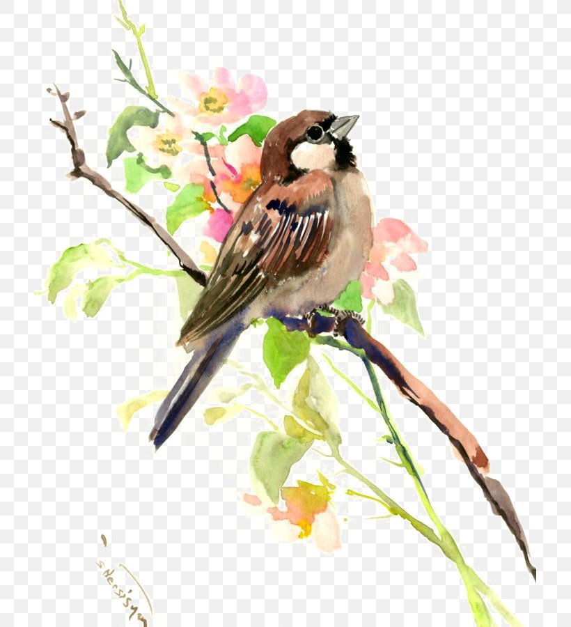 House Sparrow Watercolor Painting Bird, PNG, 721x900px, Sparrow, Art, Arts, Beak, Bird Download Free