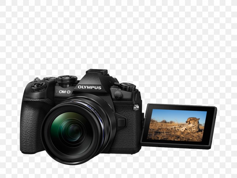 Olympus OM-D E-M1 Mark II Olympus OM-D E-M5 Mark II Olympus OM-D E-M10 Micro Four Thirds System, PNG, 1427x1070px, Olympus Omd Em1 Mark Ii, Camera, Camera Accessory, Camera Lens, Cameras Optics Download Free