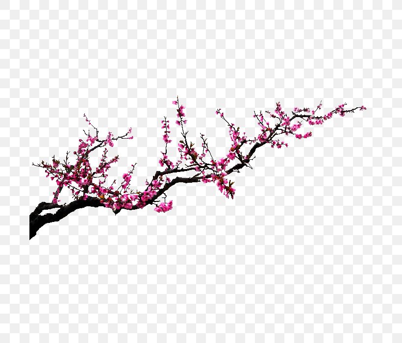 Poster, PNG, 700x700px, 3d Computer Graphics, Poster, Blog, Blossom, Branch Download Free