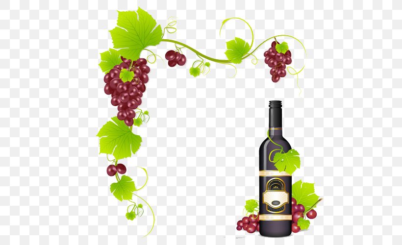 Red Wine Common Grape Vine, PNG, 500x500px, Red Wine, Bottle, Common Grape Vine, Drinkware, Flowering Plant Download Free