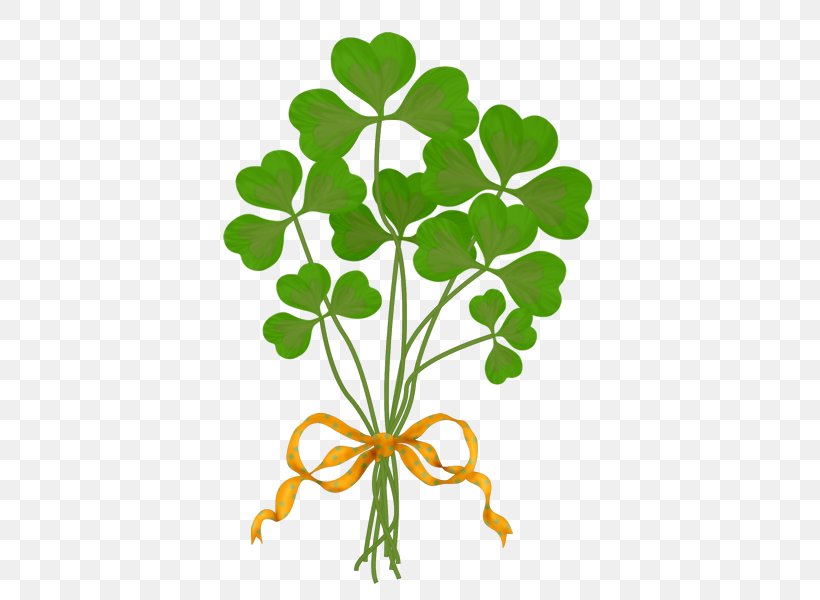 Green Four-leaf Clover Flower, PNG, 418x600px, Green, Branch, Clover, Drawing, Flora Download Free