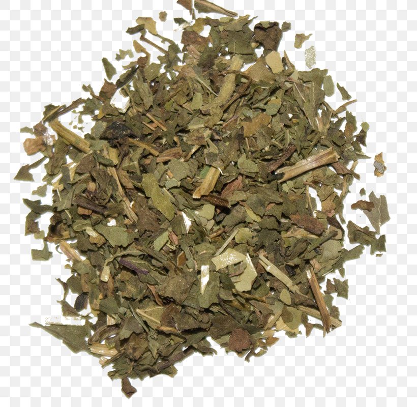 Hōjicha Darjeeling Tea Green Tea Sencha, PNG, 800x800px, Hojicha, Bai Mudan, Bancha, Black Tea, Darjeeling Download Free
