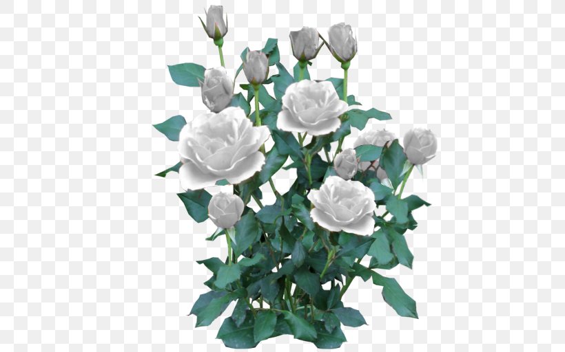 Black Rose Shrub Plant, PNG, 512x512px, Rose, Artificial Flower, Black Rose, Color, Cut Flowers Download Free
