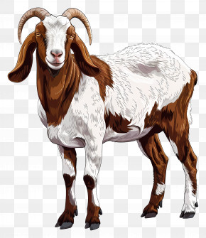 Boer Goat - Brown And White Goat Illustration PNG