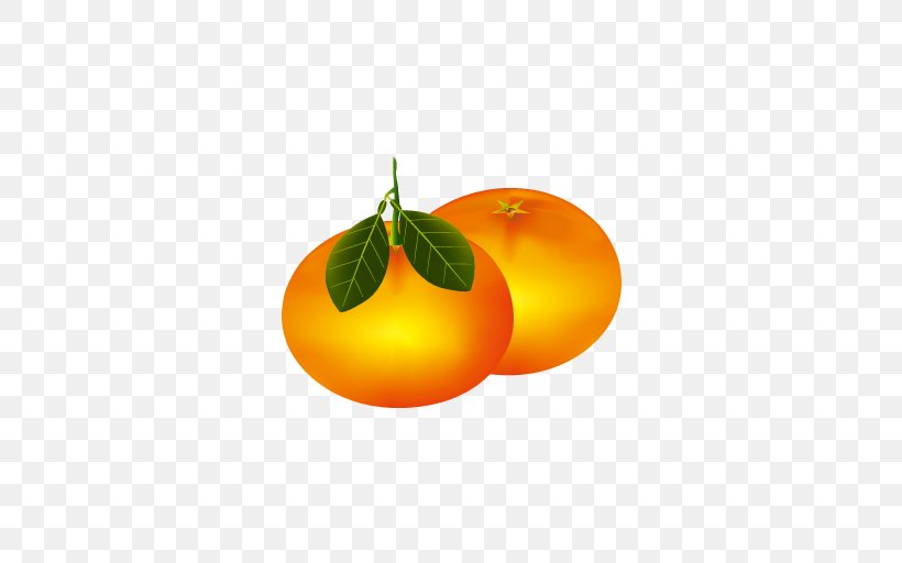 Clementine Mandarin Orange Icon, PNG, 512x512px, Clementine, Bitter Orange, Chinese New Year, Citric Acid, Citrus Download Free