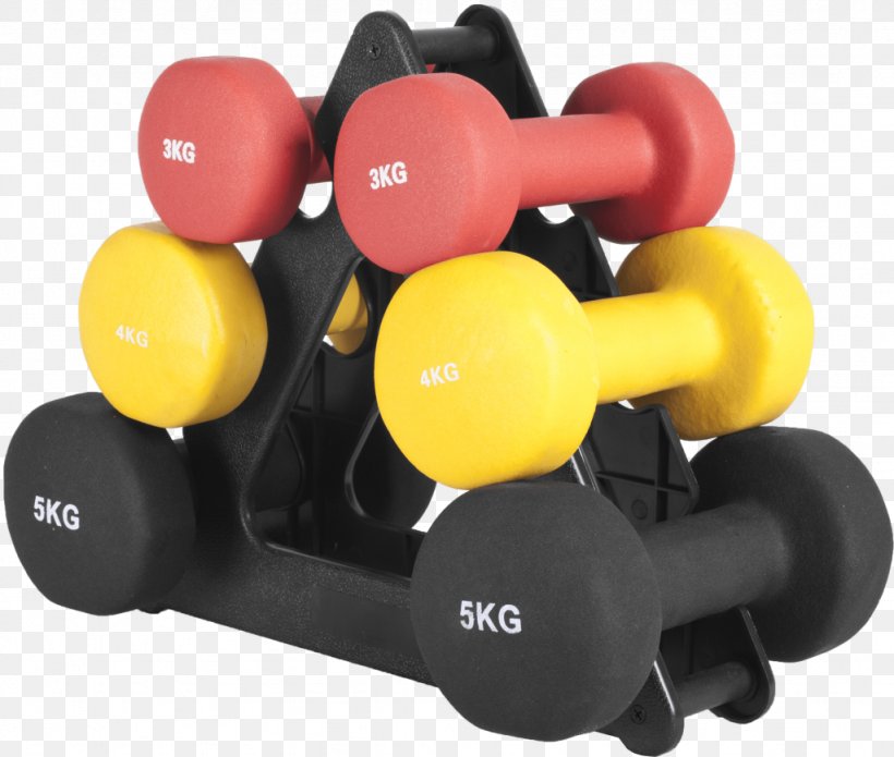 Dumbbell Weight Training Gorilla Sports Gymnastikhantelbaum Aerobics, PNG, 1024x869px, Dumbbell, Aerobics, Exercise Equipment, Fitness Centre, Gymnastics Download Free