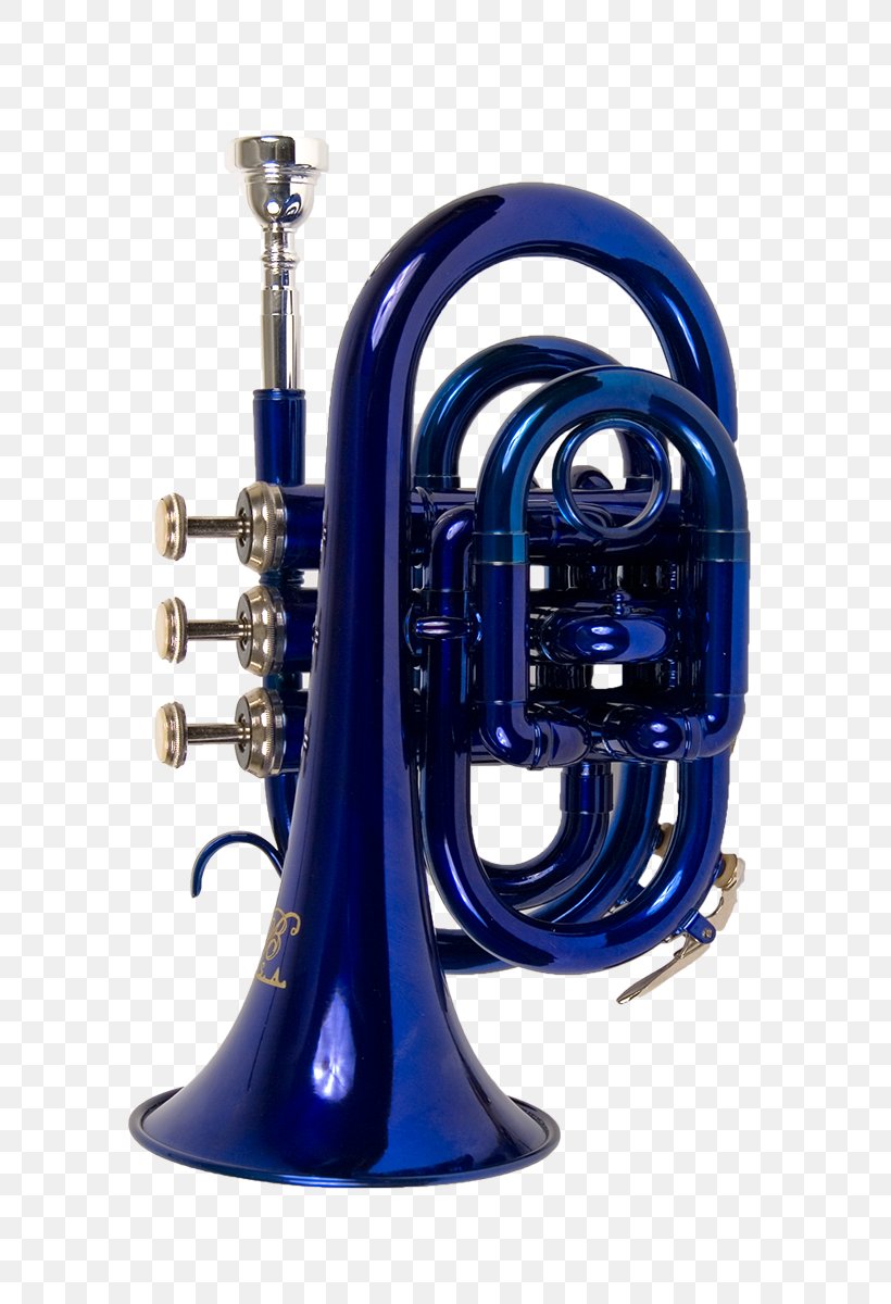 Cornet Saxhorn Flugelhorn Bugle Trumpet, PNG, 800x1200px, Cornet, Alto Horn, Bore, Brass, Brass Instrument Download Free