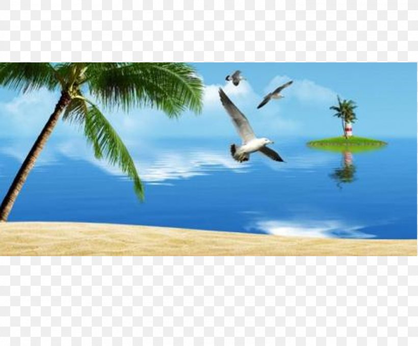 Sandy Beach Bird, PNG, 1474x1220px, Sandy Beach, Anatidae, Beach, Beak, Bird Download Free