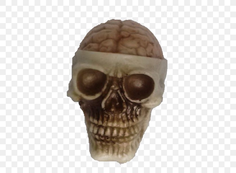 Skull And Crossbones Brain Ashtray Piracy, PNG, 584x600px, Skull, Art, Ashtray, Bone, Brain Download Free