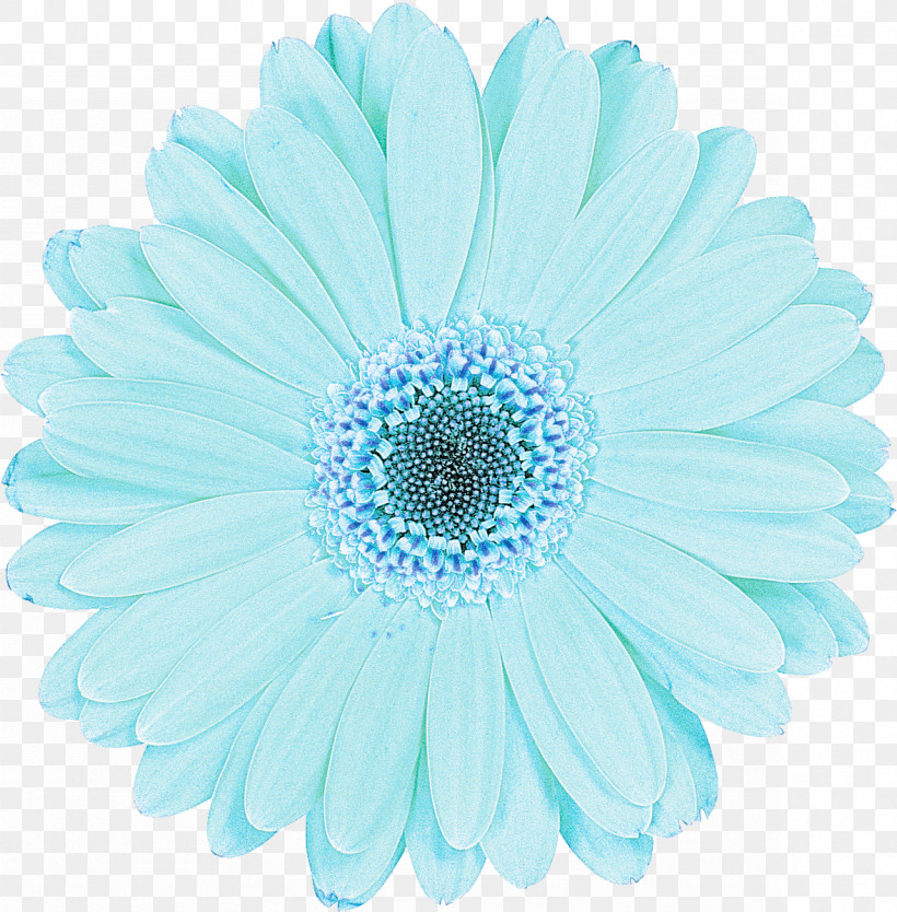Daisy, PNG, 1179x1200px, Barberton Daisy, Aqua, Aster, Blue, Cut Flowers Download Free